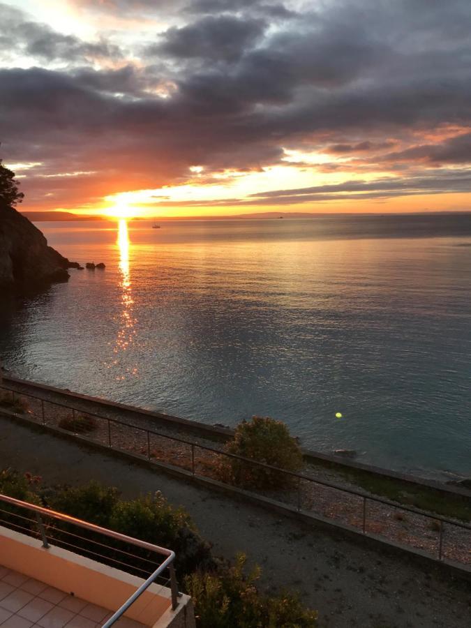 Appartement Cosy Les Pieds Dans L'Eau, Vue Mer Exceptionnelle Crozon Exteriér fotografie