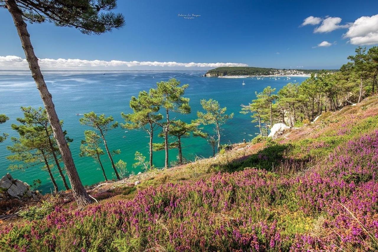 Appartement Cosy Les Pieds Dans L'Eau, Vue Mer Exceptionnelle Crozon Exteriér fotografie
